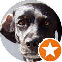 devans00 profile picture