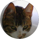 Jonathan Little profile picture