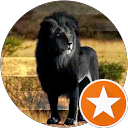 Daniel Perez profile picture