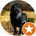 Daniel Perez profile picture